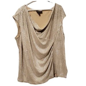Flattering Shimmery Champaign top